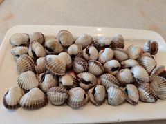 -华盛丰温州大排档(东三环南路店)