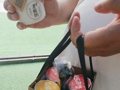 -莫愁村问君老酸奶