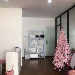 -Lab Season惜辰颜究社