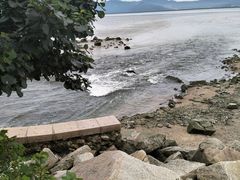 -深圳湾公园(南山区)