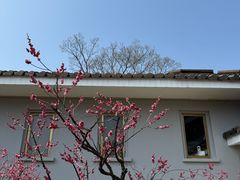 -无锡梅园公园