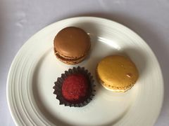 -蝶舍·MAISON PAPILLON