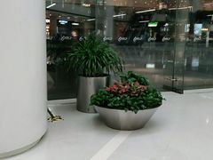 -皇城恒隆广场