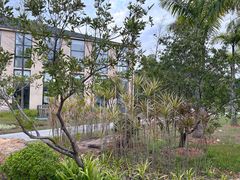 -东莞植物园