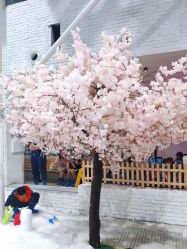 -Mr·Kuma酷么先生雪之乐园