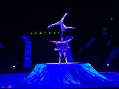 -珠海横琴长隆《卡卡虎奇遇记》