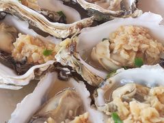 -西涌国际滨海旅游区