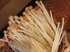 -季季山·云南野生菌火锅(上海首店)