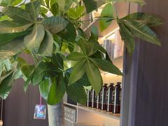 -鹿栖.精油SPA(金山世纪城店)