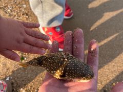 -东戴河风景区-止锚湾