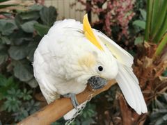 -南宫五洲植物乐园