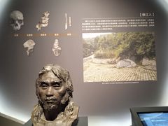 -广西壮族自治区博物馆