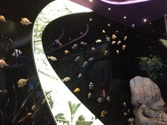 -厦门泰谷酒店(中山路镇海路地铁站店)