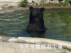 -天津市动物园