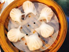 -云中小雅