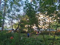 -长春市南湖公园