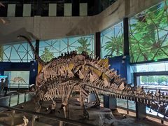 -湖南省地质博物馆