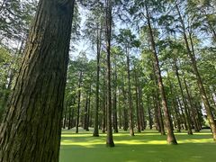 -渌洋湖湿地公园