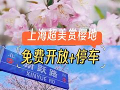 -高东镇樱花园