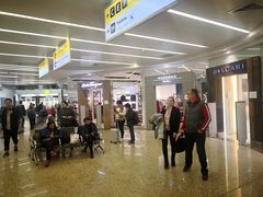 -谢列梅捷沃国际机场