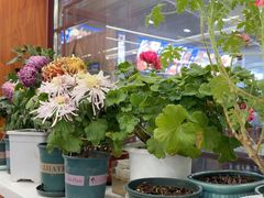 -伊隆斋(什刹海店)