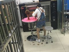 -米卢宠物公园(广华居店)