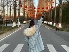 -黄海国家森林公园