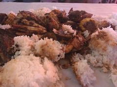 -Dampa Seafood Grill - Dubai