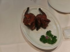 -怀德酒楼·粤菜·海鲜·茶点(宝安国际机场店)