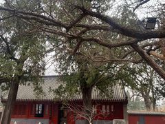 -红螺寺