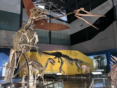 -湖南省地质博物馆