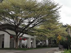 -深圳国际园林花卉博览园