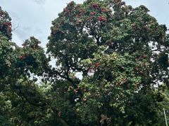 -非烤勿扰韩料自助烤肉(松山湖万科店)