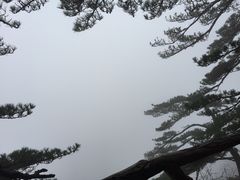 -罗田薄刀峰风景区