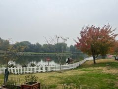 -万柳高尔夫俱乐部