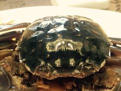 新光酒家方亮蟹宴(浦东店)-新光酒家·河豚·海鲜·蟹料理(浦东店)