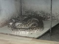 -昆明动物园
