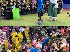 -正佳雨林生态植物园