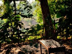 -华侨城湿地公园