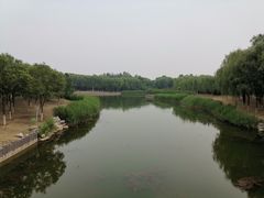 -大兴滨河森林公园