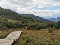 景点-白草畔自然风景区
