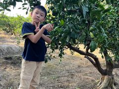 -上海长兴岛郊野公园