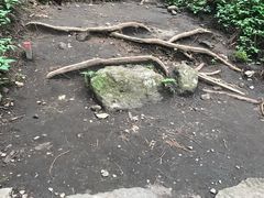 -上色见熊野座神社