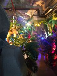 -恐龙探索乐园(磁器口店)