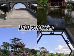 -顺峰山公园