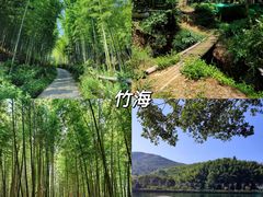 -宜兴龙背山森林公园