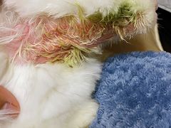 -雨林宠物医院 非犬猫异宠专科