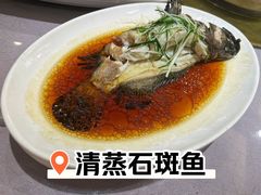 清蒸石斑鱼-金时代顺风大酒店(静安大融城店)