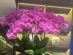 -花锦堂·隐庐
