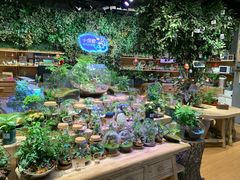 -合景·悠方(成都店)